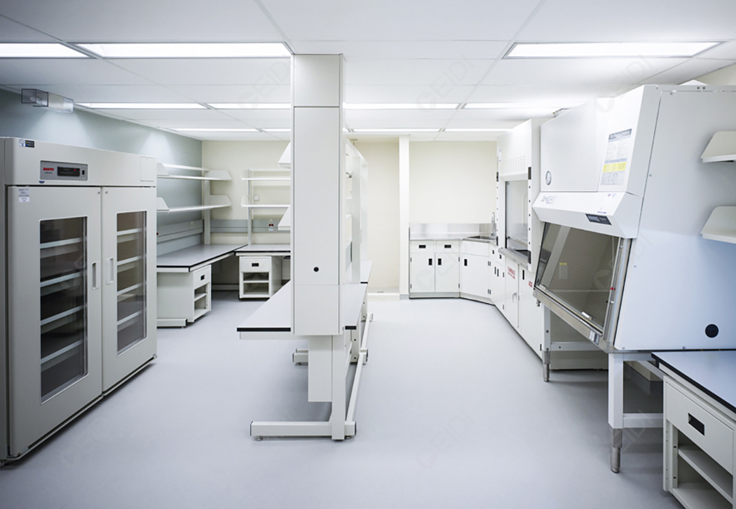 The layout of functional rooms designed for plant cell culture laboratory